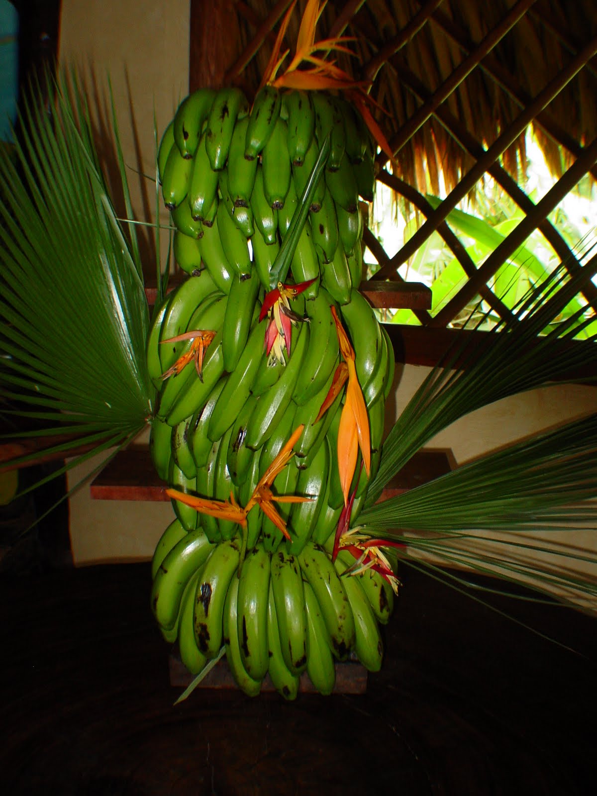 [03-02-2004++20.JPG]