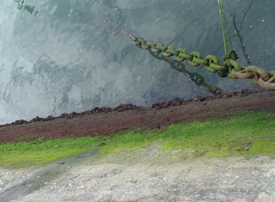 [DSC06760.JPG]