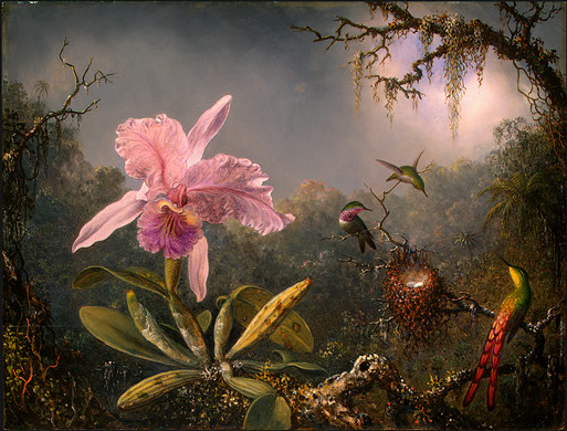 [Cattleya+Orchid+and+Three+Brazilian+Hummingbirds+by+HEAD,+Martin+Johnson.jpg]