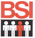 BSI - BUSINESS SERVICES INTERNATIONAL