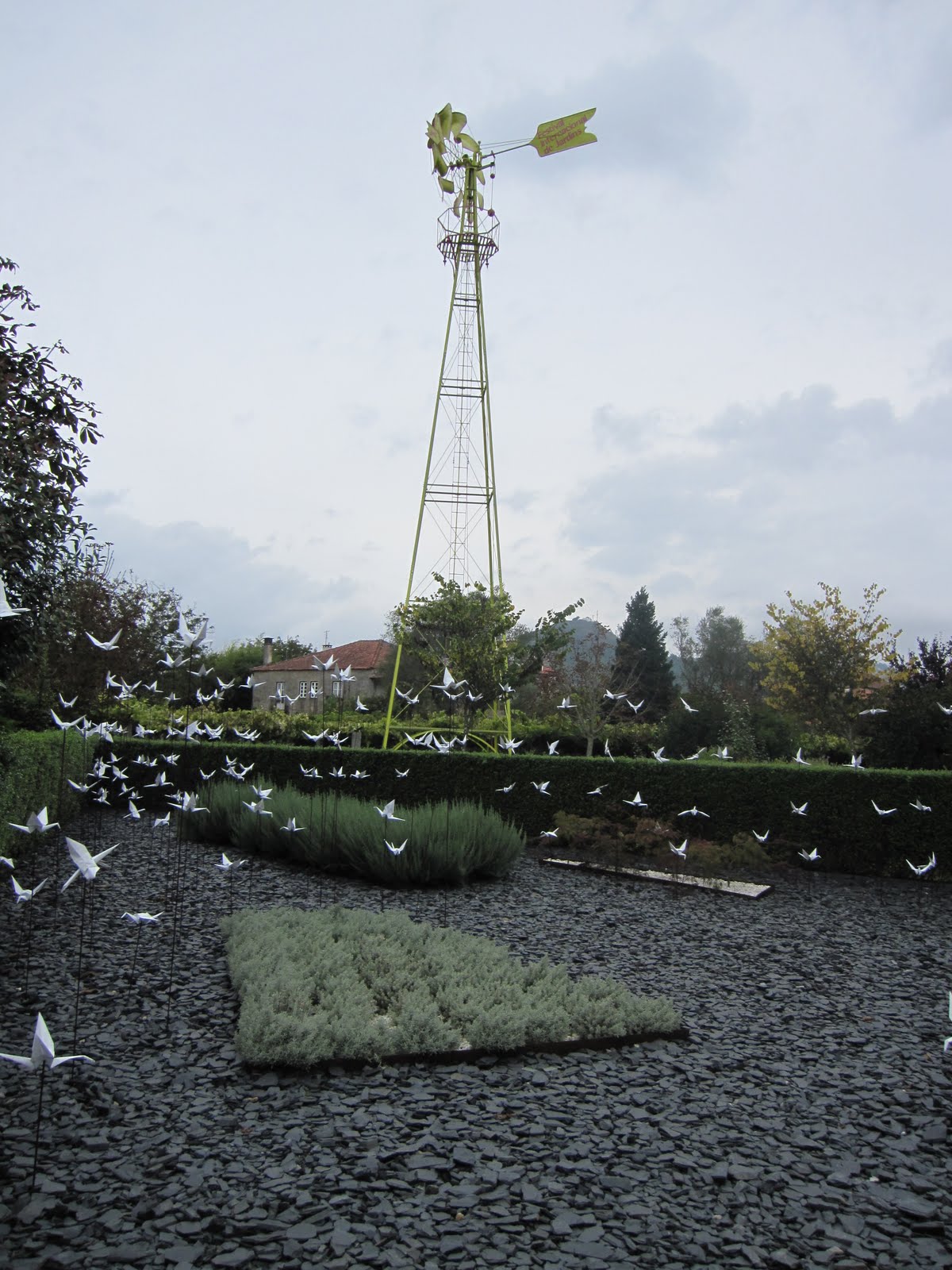 [IMG_0893.JPG]