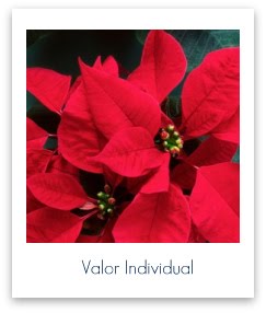 [Valor+Individual.jpg]