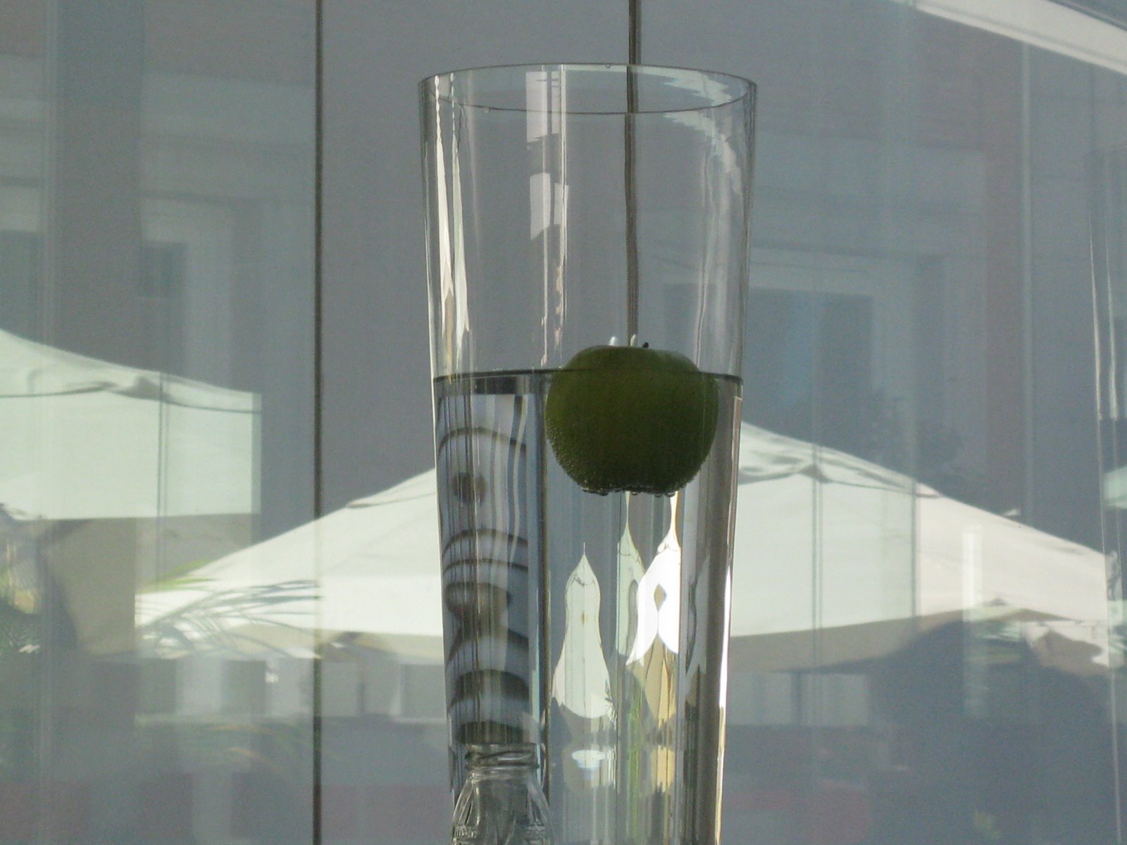[IMG_1448.JPG]