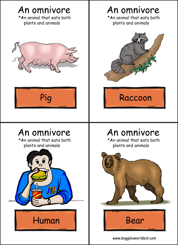 OMNIVORES: They eat both meat and plants. Posted by María at 1:18 PM