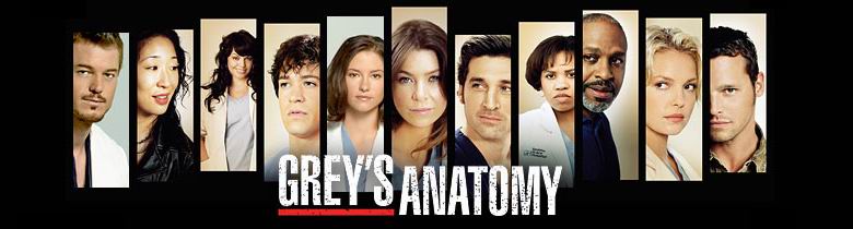 Blog Grey's Anatomy