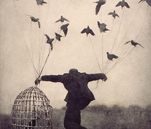 Spread your wings & soar