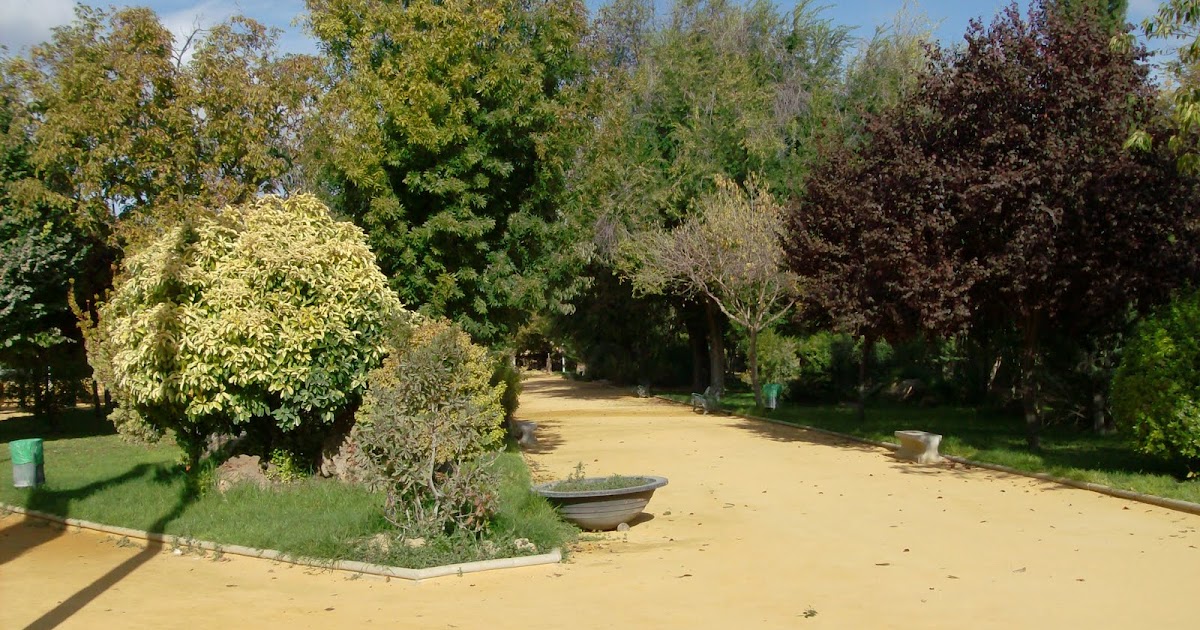 Foto de Parque Plácido Fernández Viagas en Nueva Carteya, Córdoba
