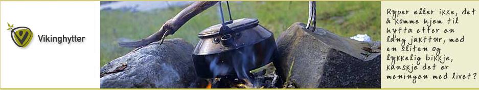 Vikinghytter