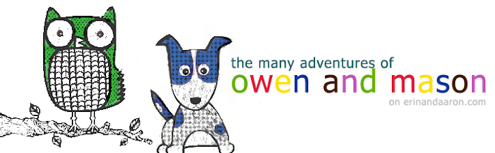 the many adventures of owen and mason