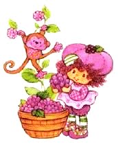 Raspberry Tart y su Monito