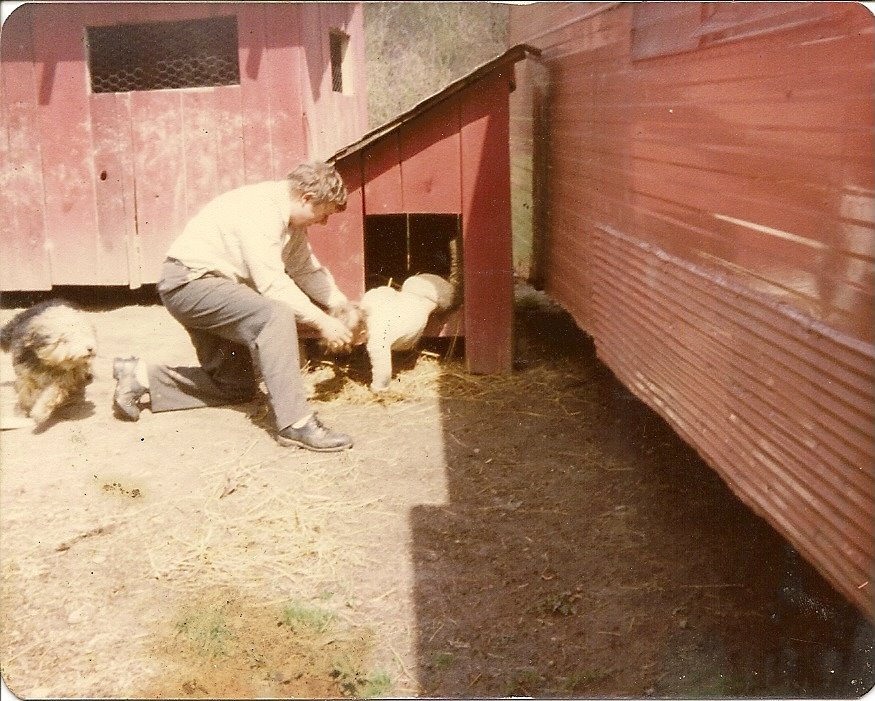 [scan0001.jpg]