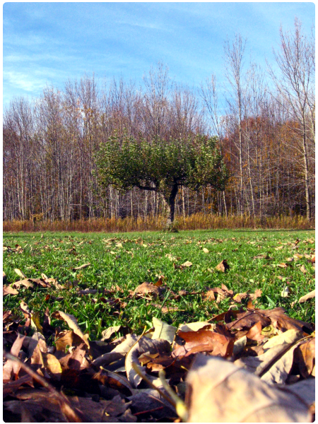 [20091025_999_91.png]