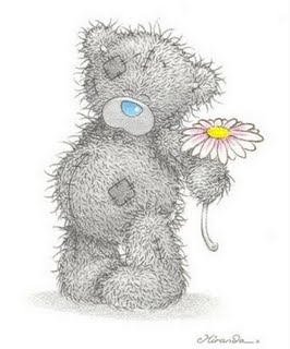 [teddy1.jpg]