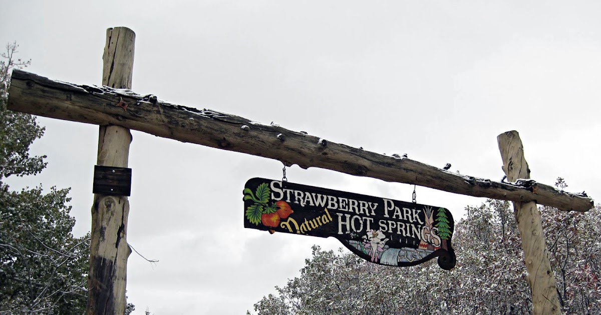 Scrapper Blackwell Strawberry Snow.