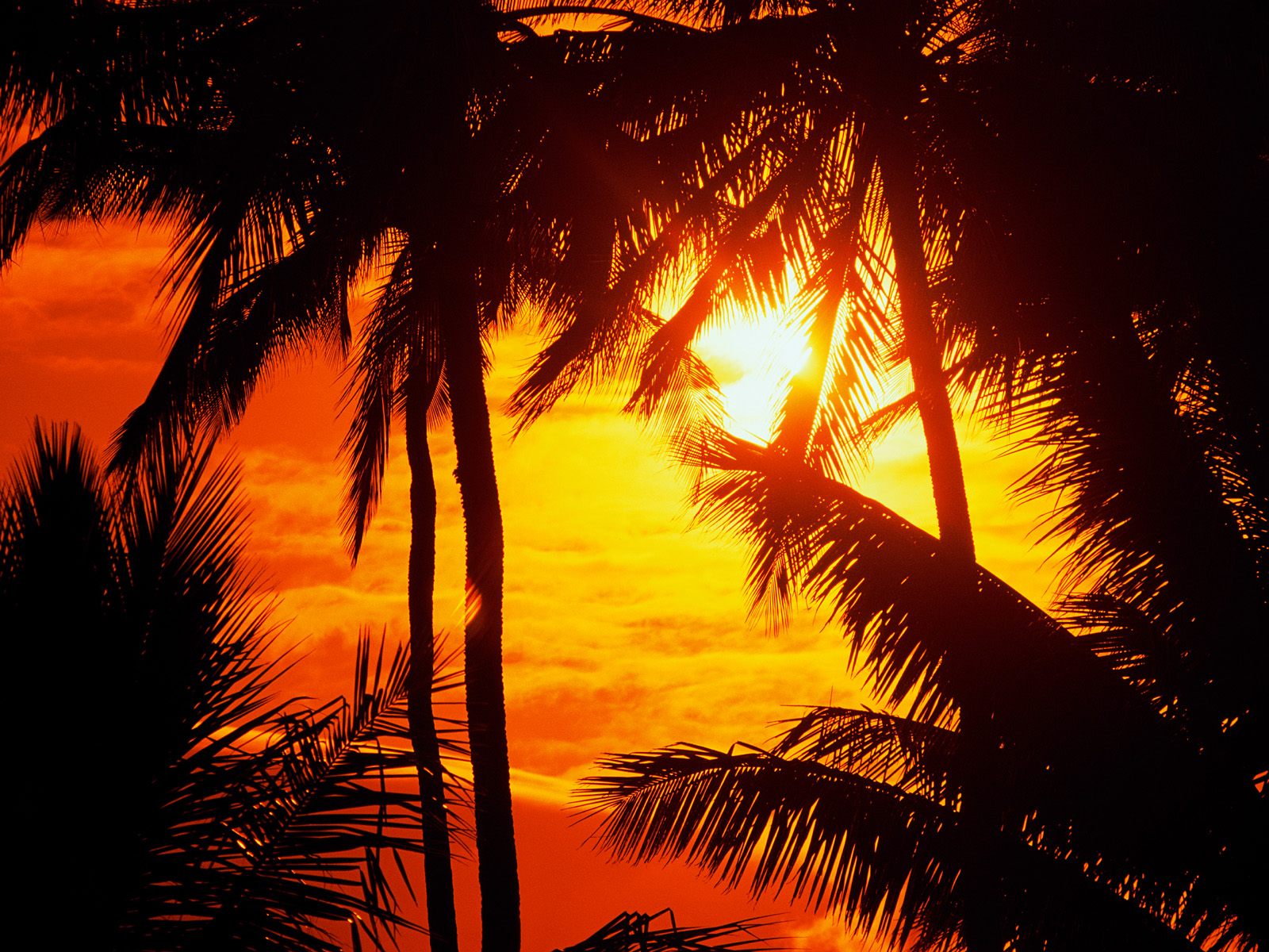 http://1.bp.blogspot.com/_V0OScaQdMy4/TN1C0VHiPAI/AAAAAAAAAYo/8vsN4SBKvQM/s1600/N.1+%252850%2529.jpg