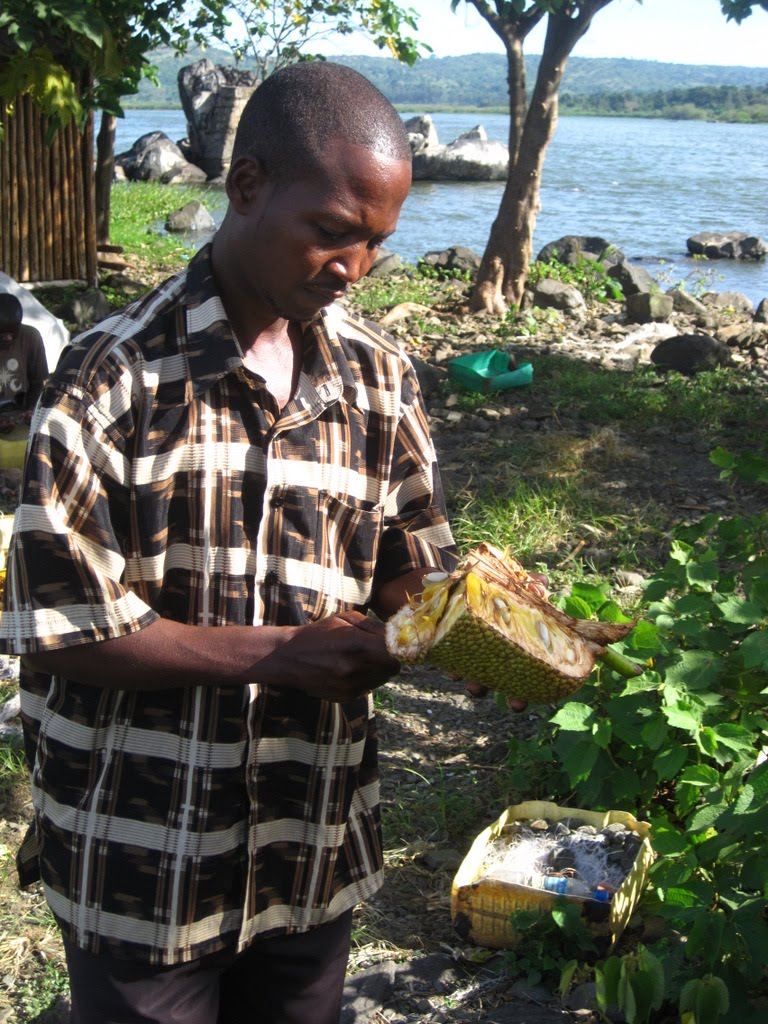 Romiti Vivai Di Pietro Figli Pdf Telechargement Gratuit