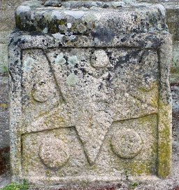 Detalle del gótico isabelino en las Cruces de Santiago (Aldeadávila)