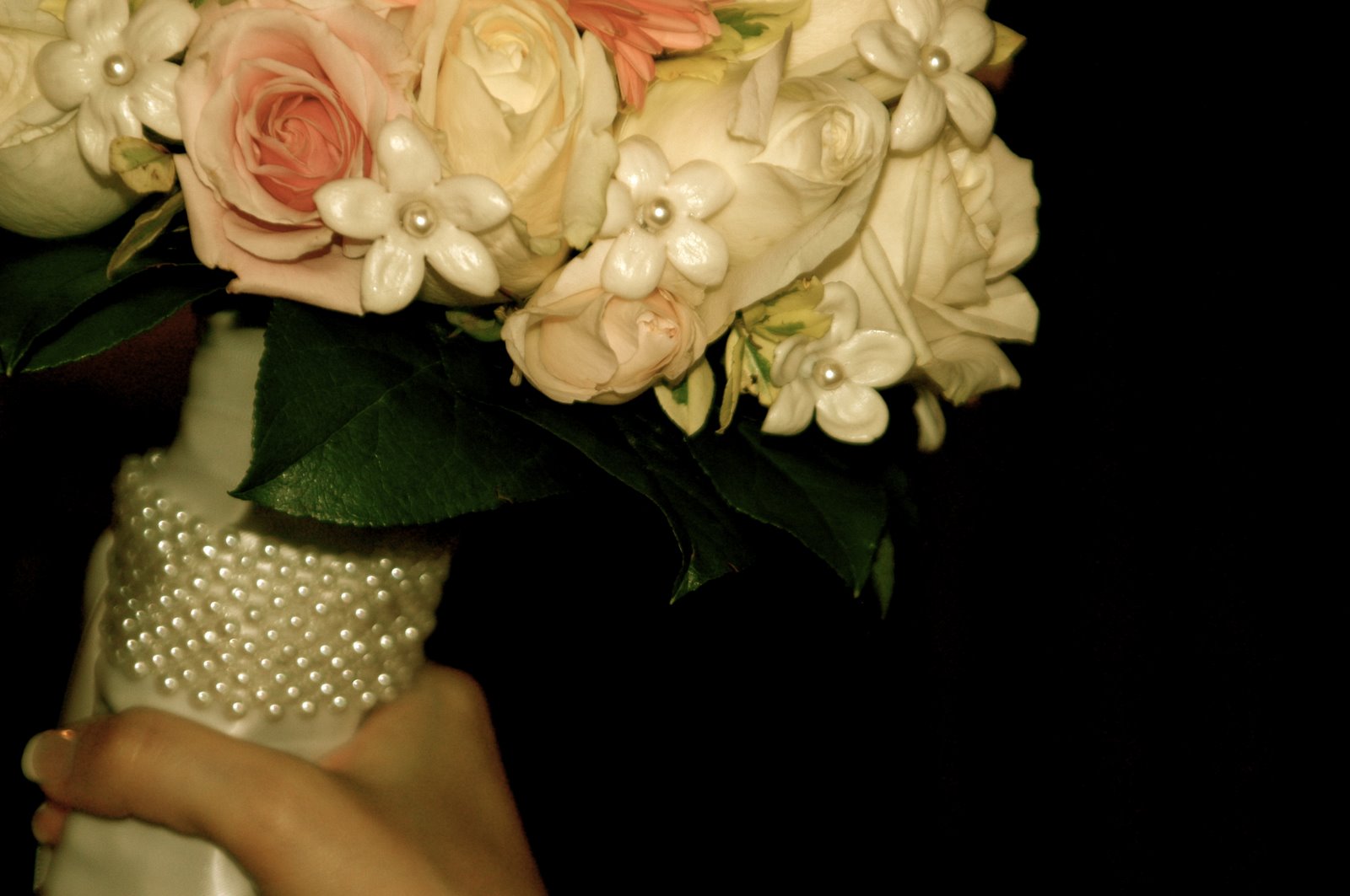[DSC_5629_2.JPG]