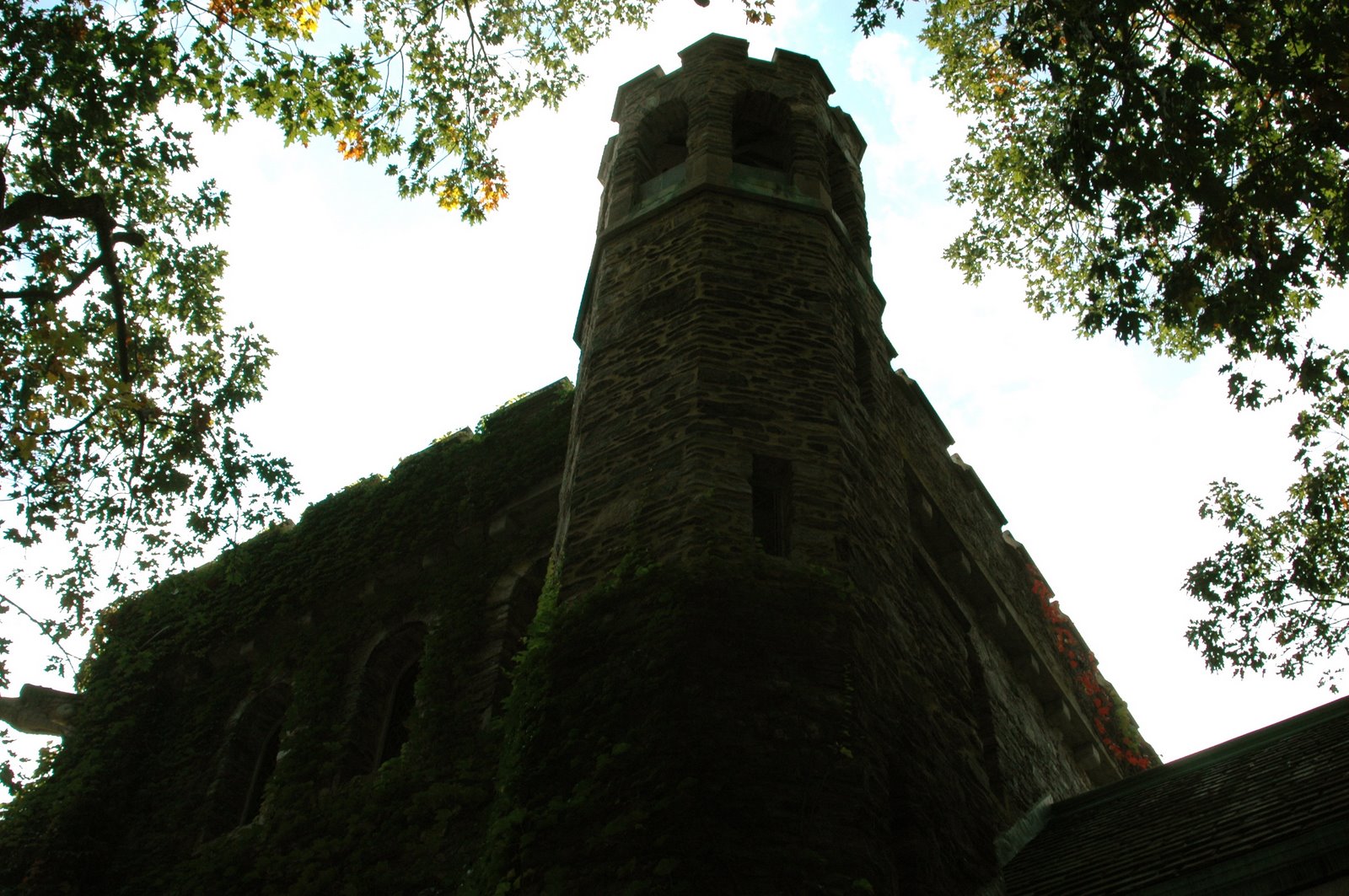 [DSC_0876.JPG]
