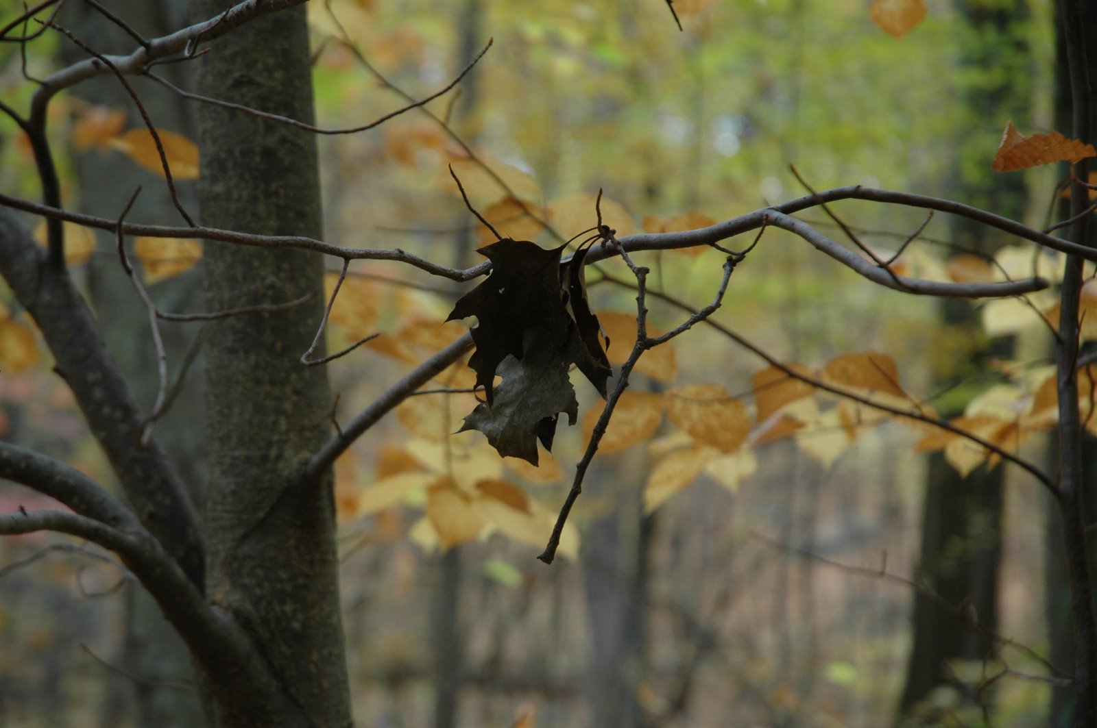 [DSC_1412.JPG]