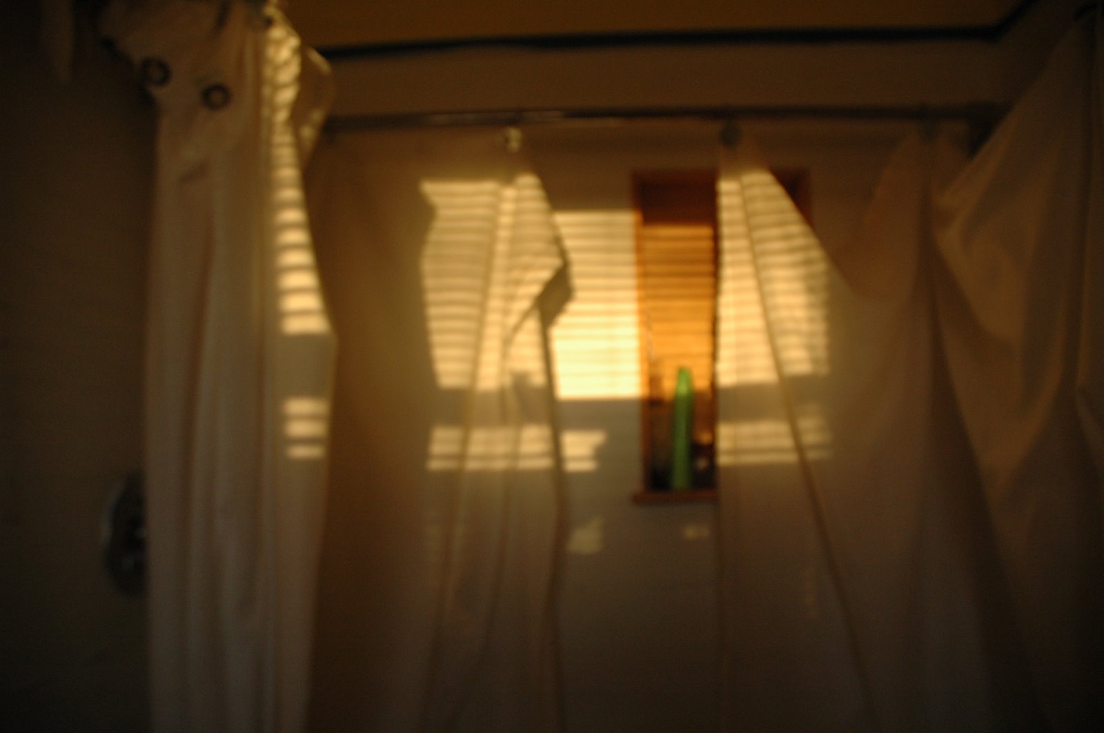 [DSC_7428.JPG]