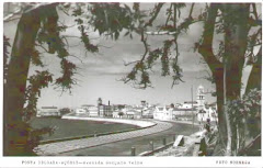 Avenida em Ponta Delgada