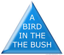 its wrong if you read this as " A BIRD IN THE BUSH "