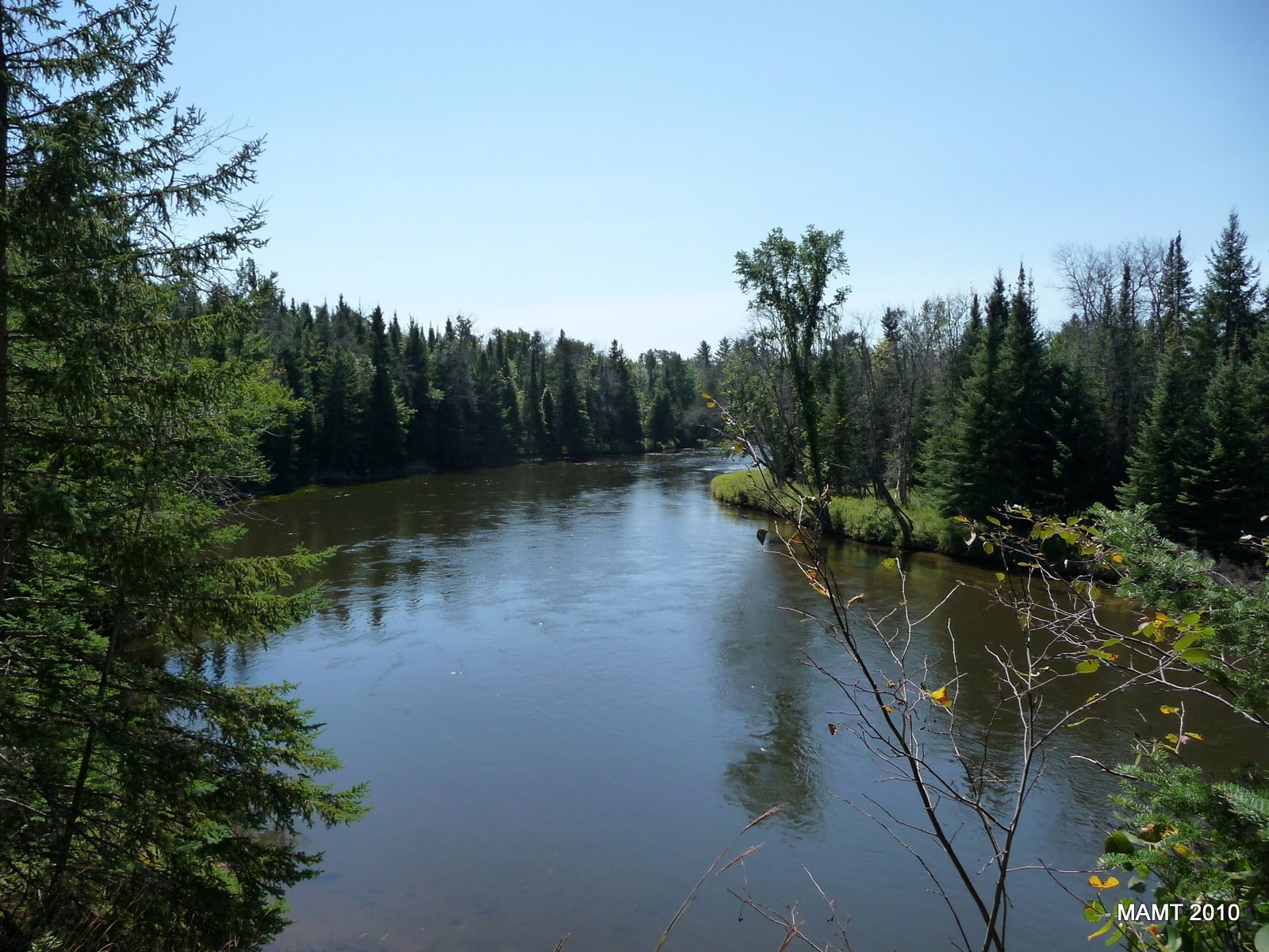 IN THE WIND Adventures of... Mary Ann and William Dragonflies and the