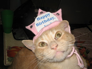 [Image: Rage_the_Happy_Birthday_Cat--large-msg-115696094933.jpg]