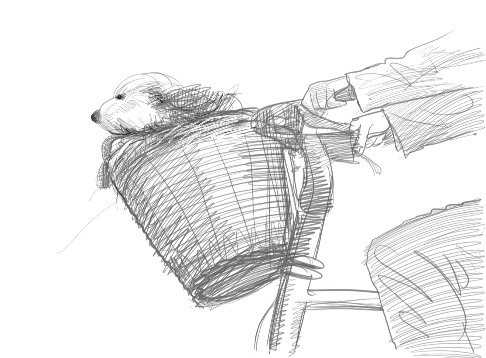 [Theo+Jansen+04+Hund.jpg]