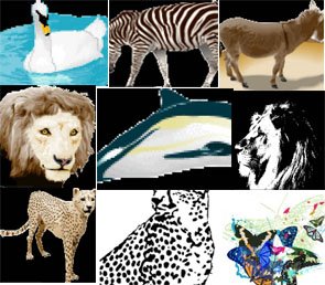 [Animals+Pack.jpg]