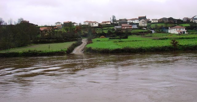 [DSC04515.JPG]