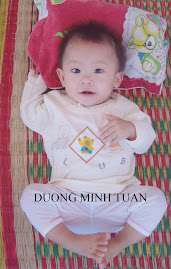 Rocco in Vietnam Dec 2006