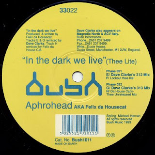 Aphrohead_In+The+Dark+We+Live+(Thee+Lite)+(12%27%27+Vinyl)_side+a.jpg