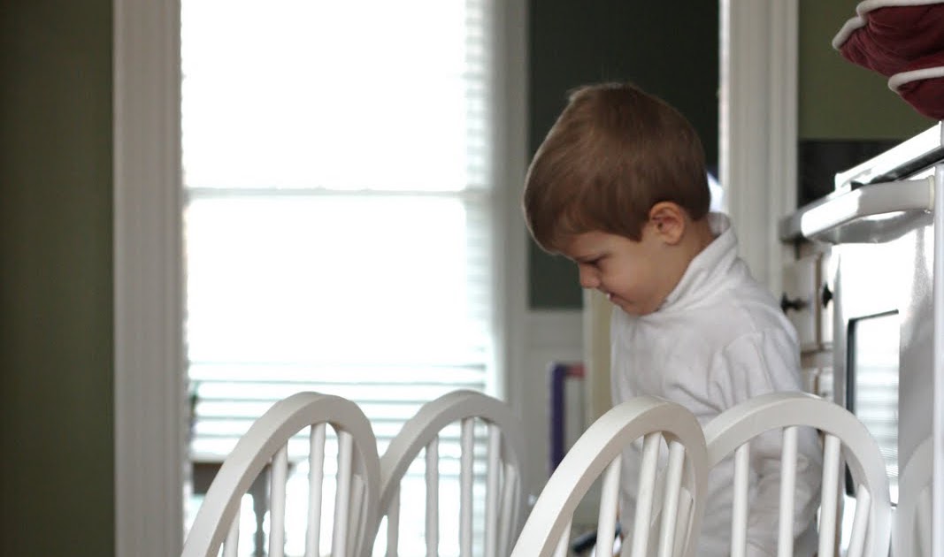 The Shupeville Zoo Sit down to pee, please!