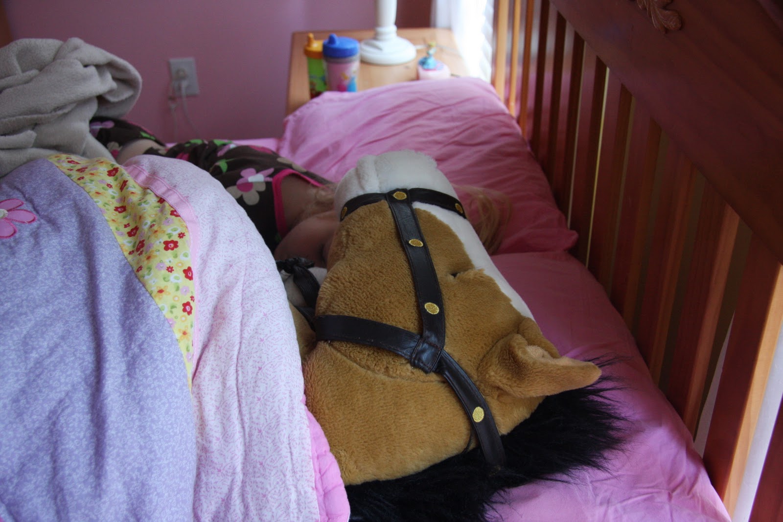 The Shupeville Zoo Somebody's been sleeping in MY bed.....