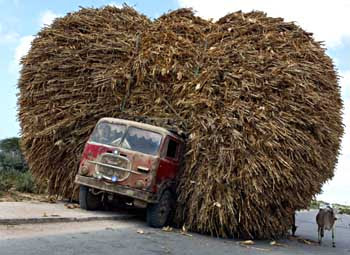 Overloading But Funny.