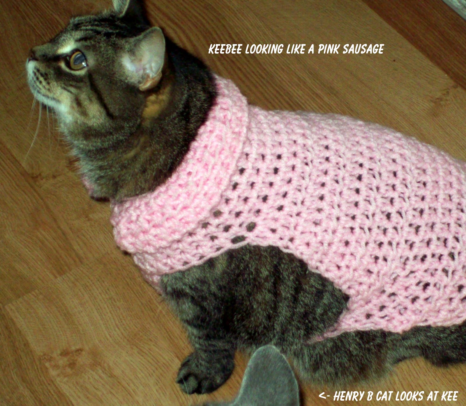 MoodyBlueFAMILY Cat Coats