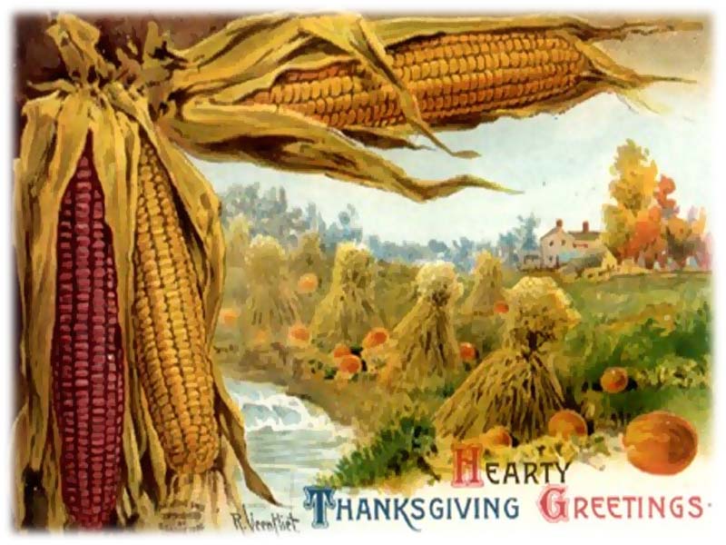 Thanksgiving special spa days Suldog: November 2010