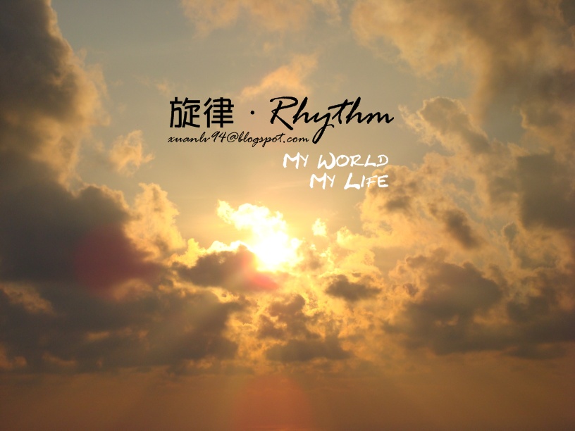 XL Blog