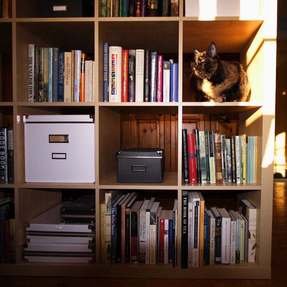 [nicola+book+shelf.JPG]