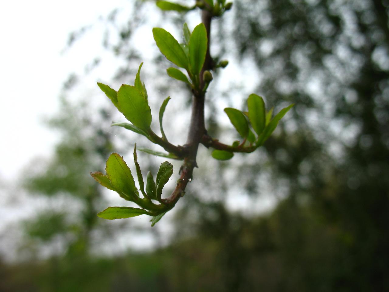 [IMG_7039.JPG]