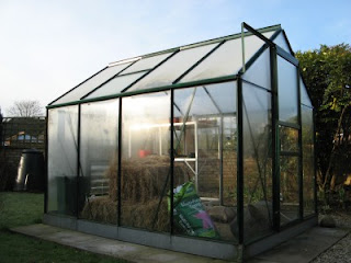Greenhouse in the morning sun