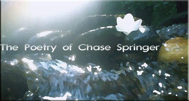 The Poetry of Chase Springer