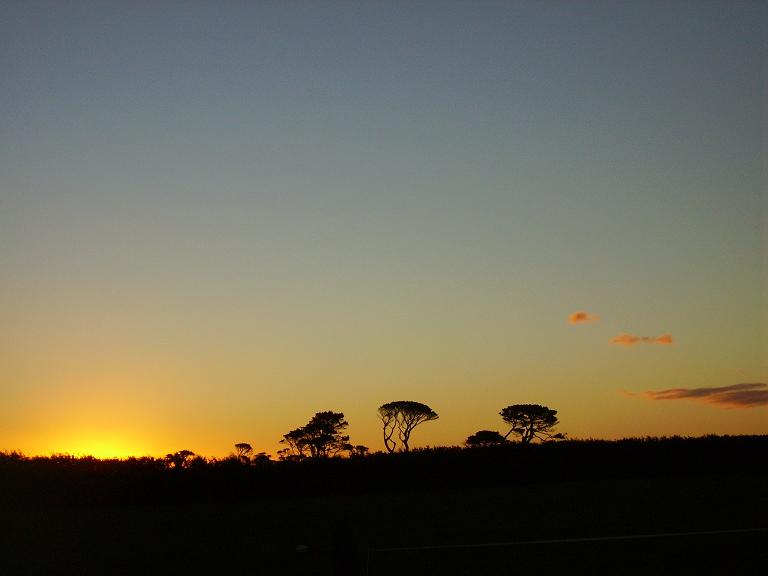 [sunset.JPG]