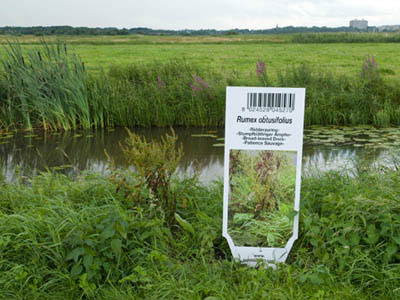 [natuurinnederland1g.jpg]