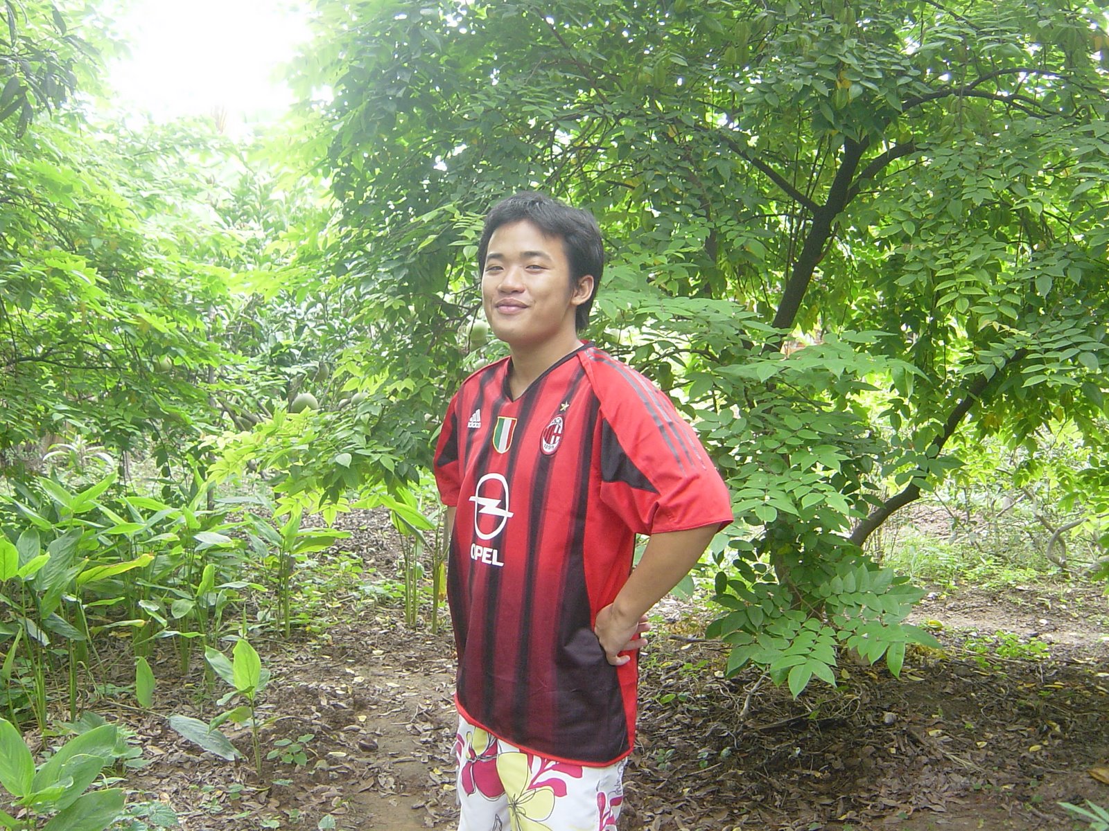 Kào Kào Xanh Đỏ