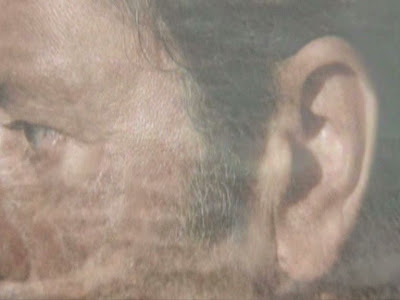 TINK by Cão Solteiro