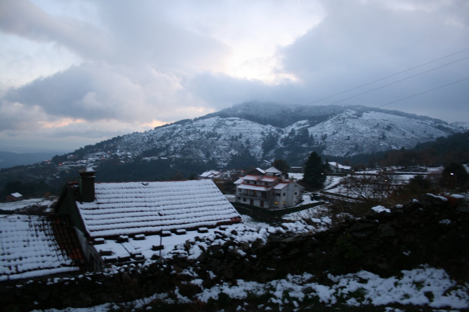 [IMG_1206.JPG]