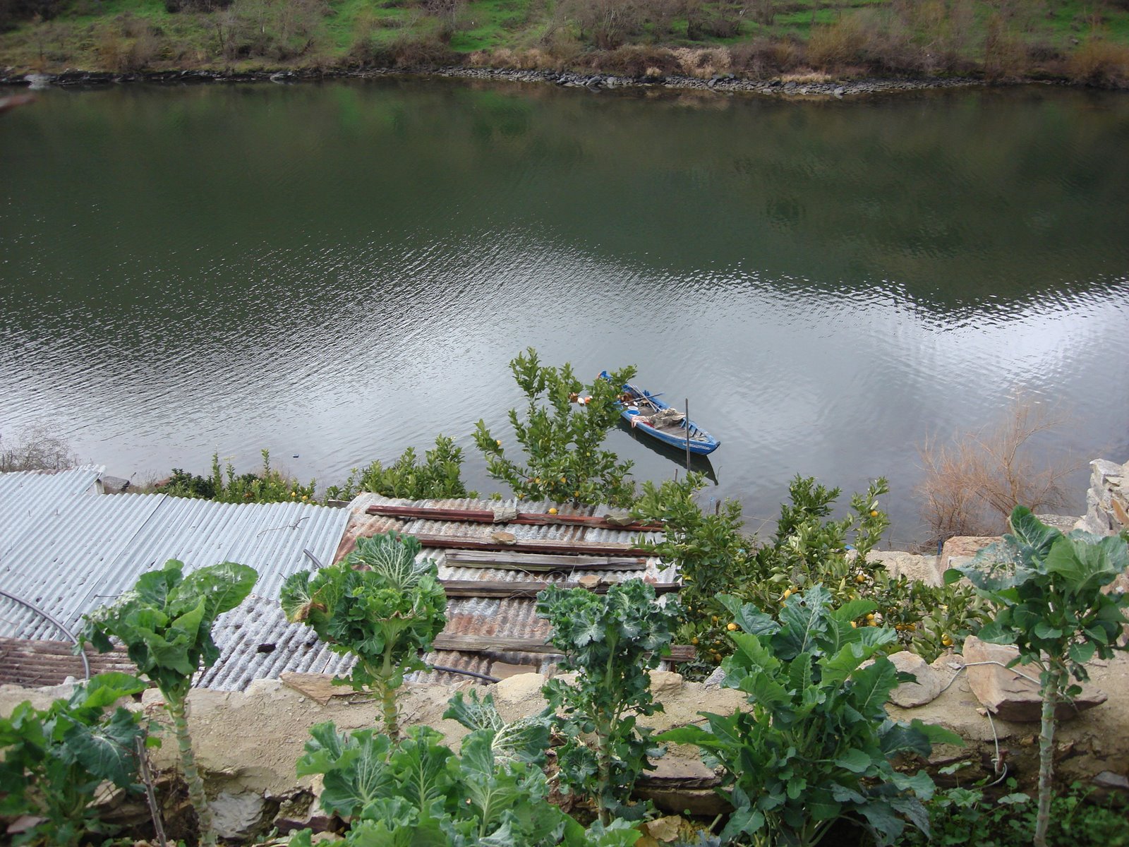 [DSC05474.JPG]